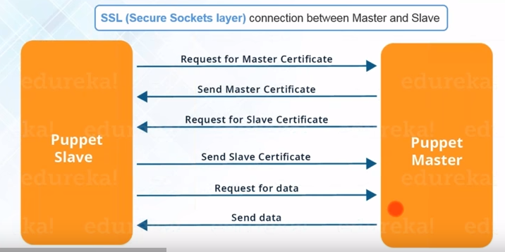 Figure 5: Master Slave SSL Workflow [1]